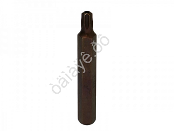 Бита TORX 10мм T40x75мм с отверстием ТДМ 1767540