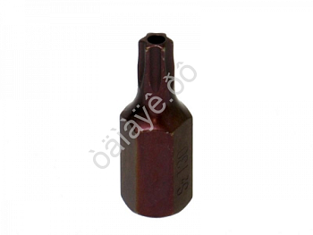 Бита TORX 10мм T30x30мм с отверстием ТДМ 1763030