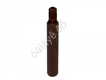 Бита TORX 10мм T45x75мм с отверстием ТДМ 1767545
